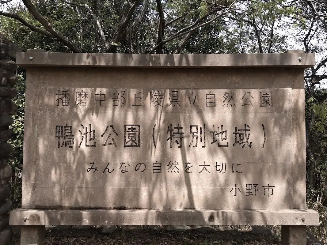 鴨池公園キャンプ場