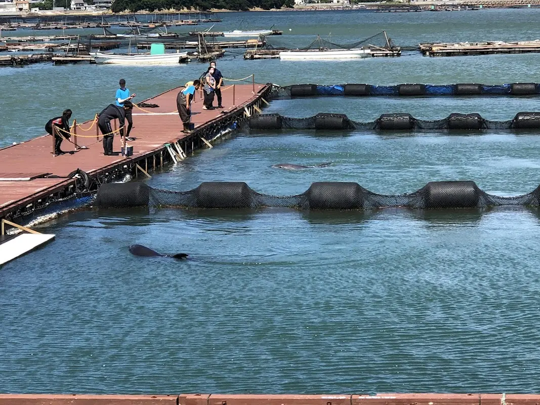 淡路じゃのひれアウトドアリゾート