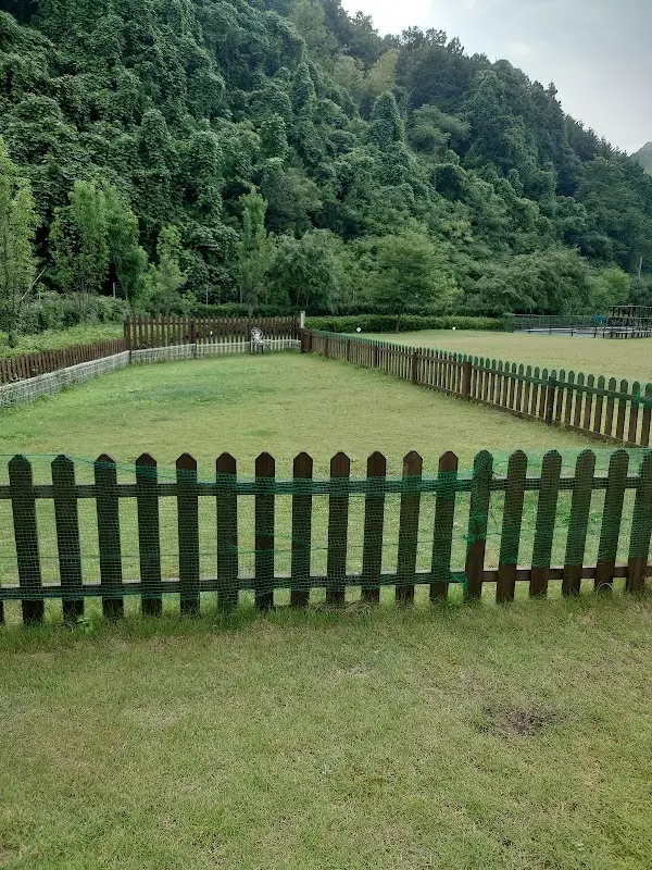 ライジングフィールド山家