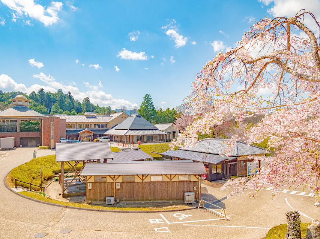 伊賀の国 大山田温泉 さるびの