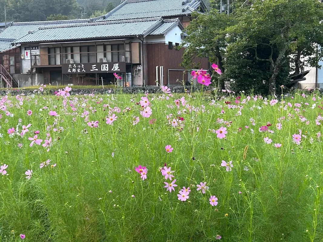 たろっと三国屋