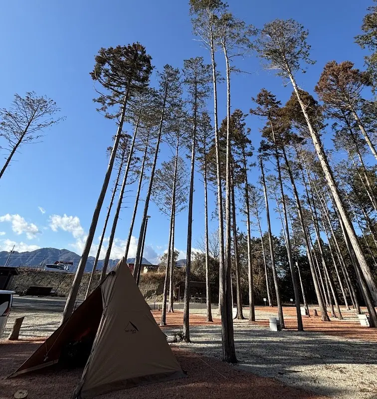 音の杜キャンプ場