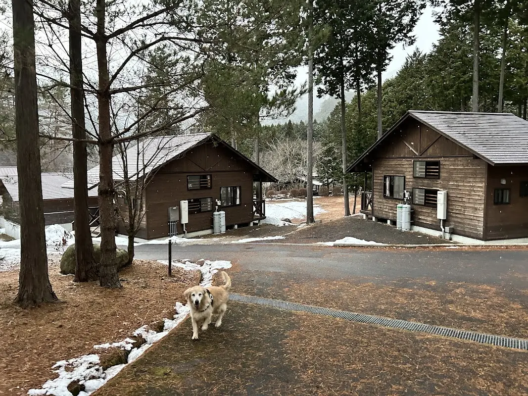 黒木キャンプ場