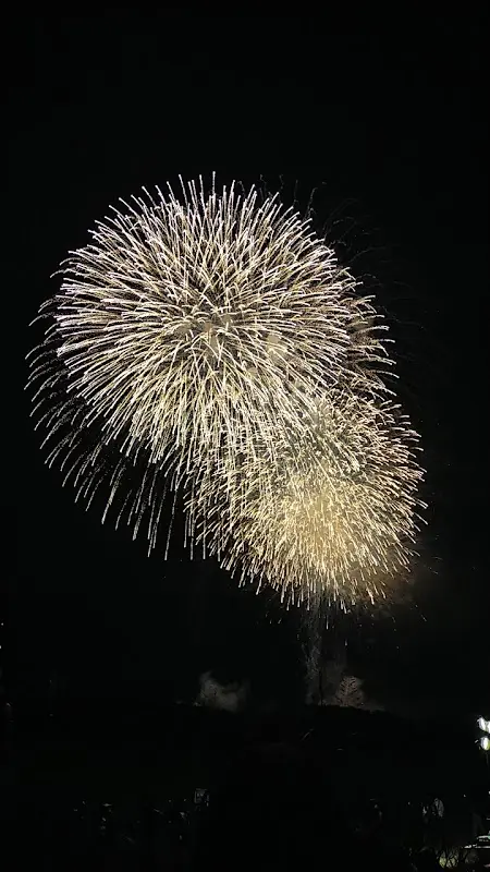 Clear Up Guest House ペット可 民泊