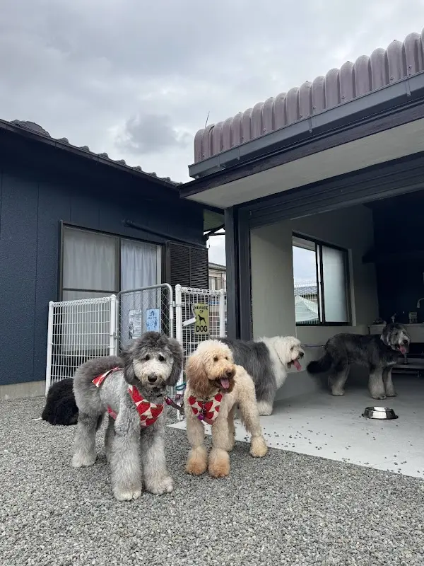 ワン泊ヤマト 愛犬と泊まれる一棟貸し最大9名まで可能 大型犬可