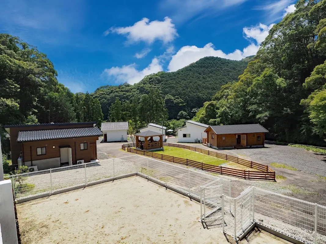 DOG PALACE camp village