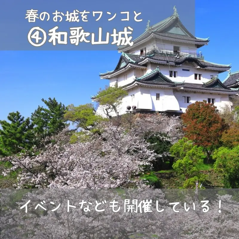 ドッグにグッドなグランピング和歌山北